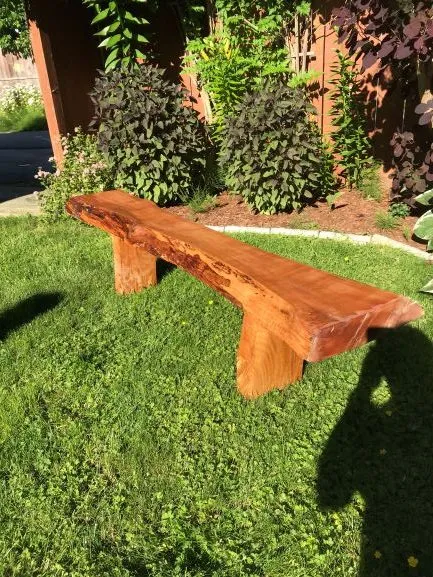 Arbutus Bench made by Gaalen